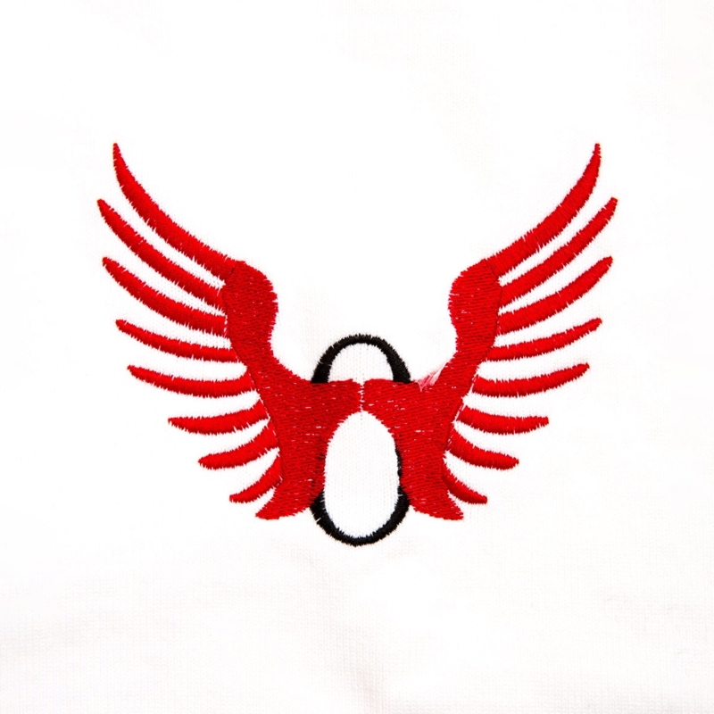 Le Pourquoi pas ("Why not?